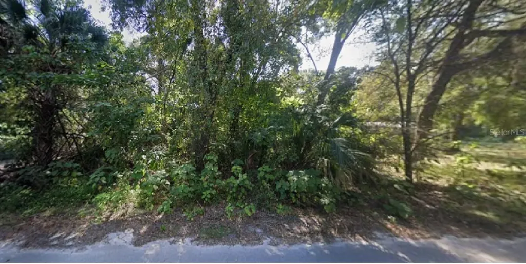 NE 167th Place Citra FL 32113