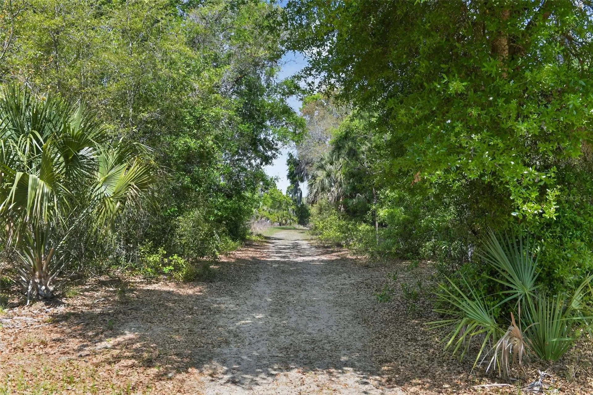 2518 Maywood Street Eustis FL 32726
