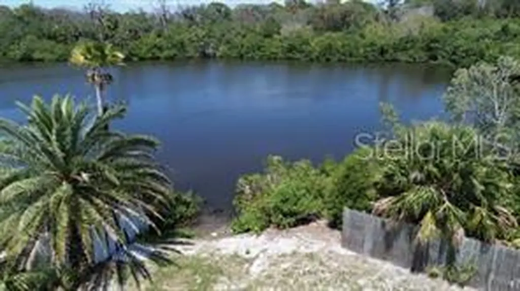 6981 Edgewater Drive New Port Richey FL 34652