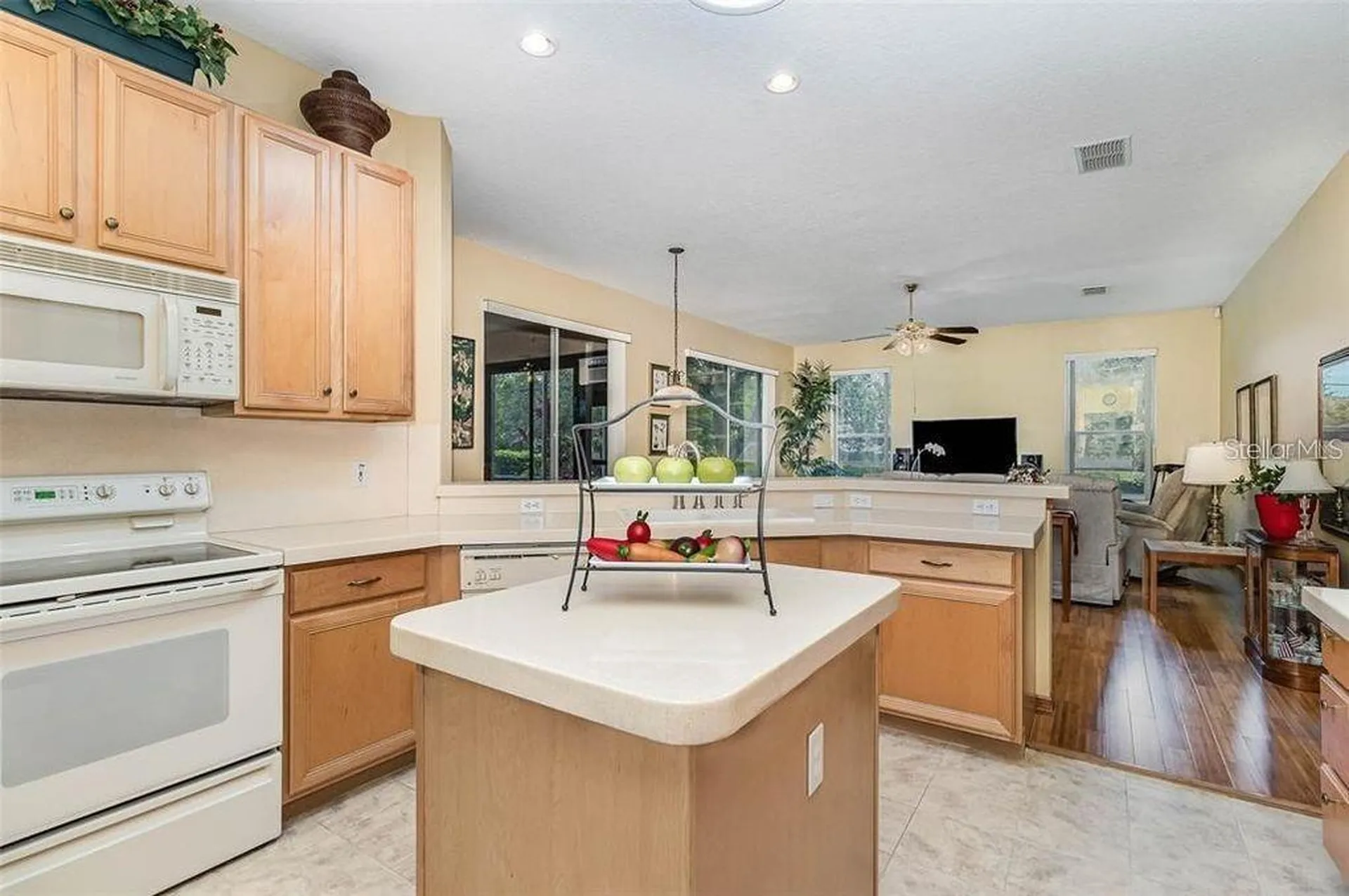 10001 Highland Woods Court Orlando FL 32836