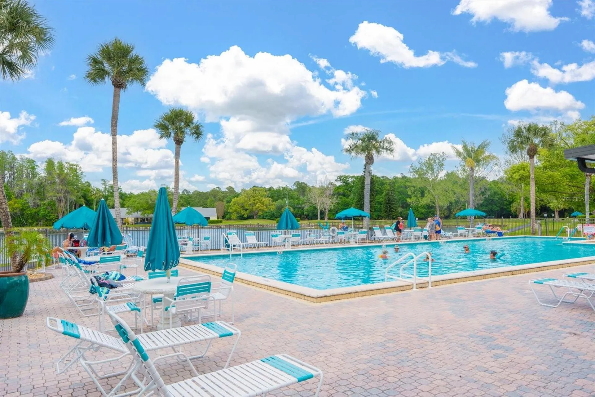1441 Pine Glen Lane Tarpon Springs FL 34688