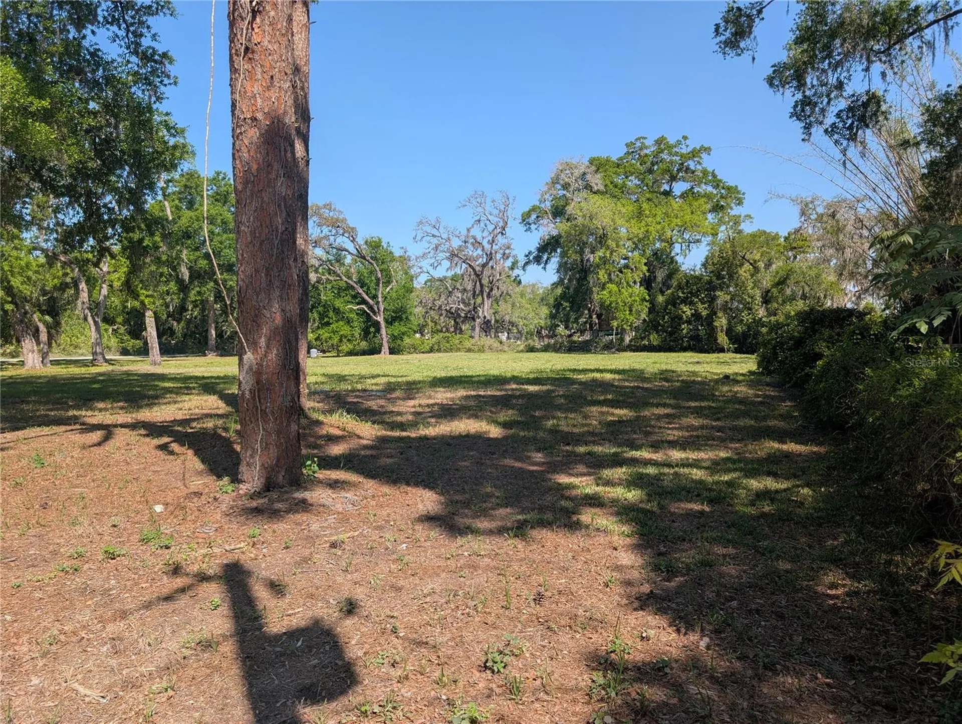 8519 Adonis Road New Port Richey FL 34654