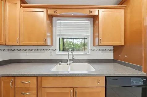 12311 N Putney Court Leesburg FL 34788