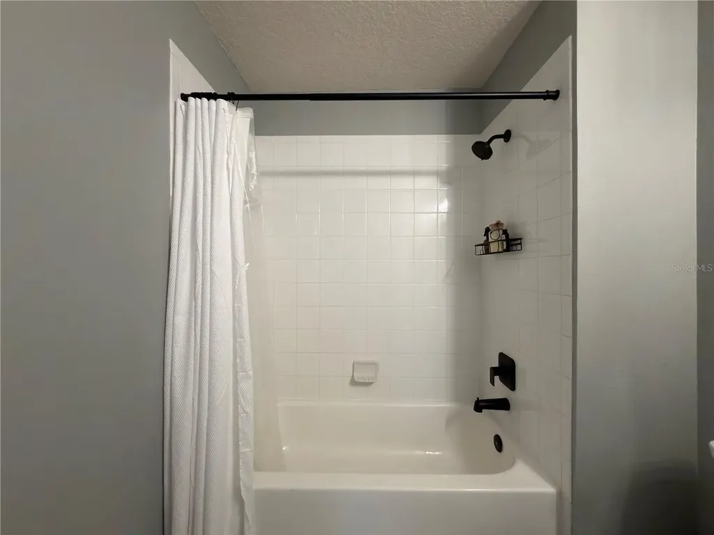 26605 Chimney Spire Lane Wesley Chapel FL 33544