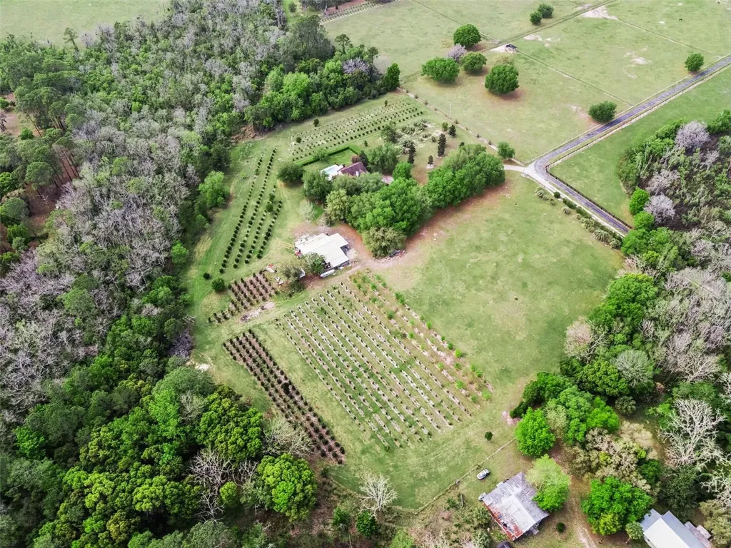 3466 Cross Branch Road Deland FL 32724