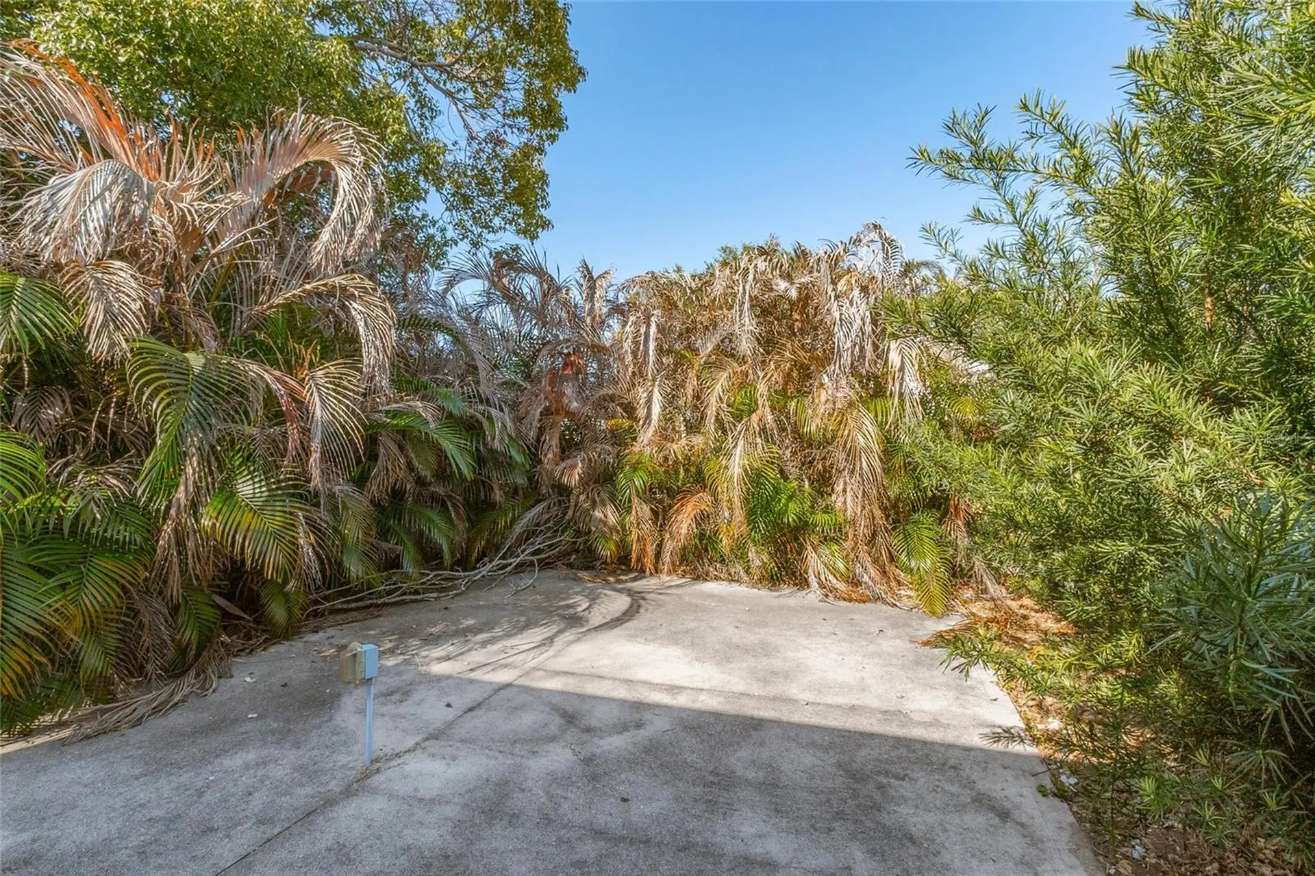 917 Cypress Street Sebastian FL 32976