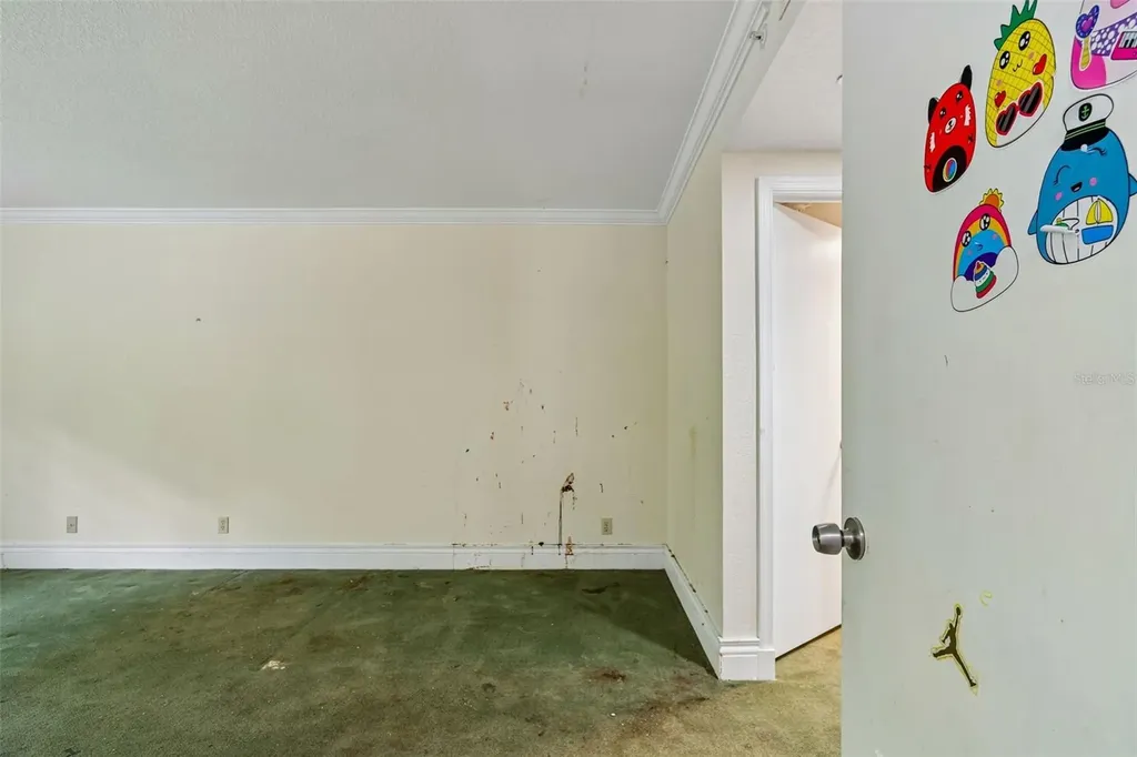 36750 Us Highway 19 N Palm Harbor FL 34684