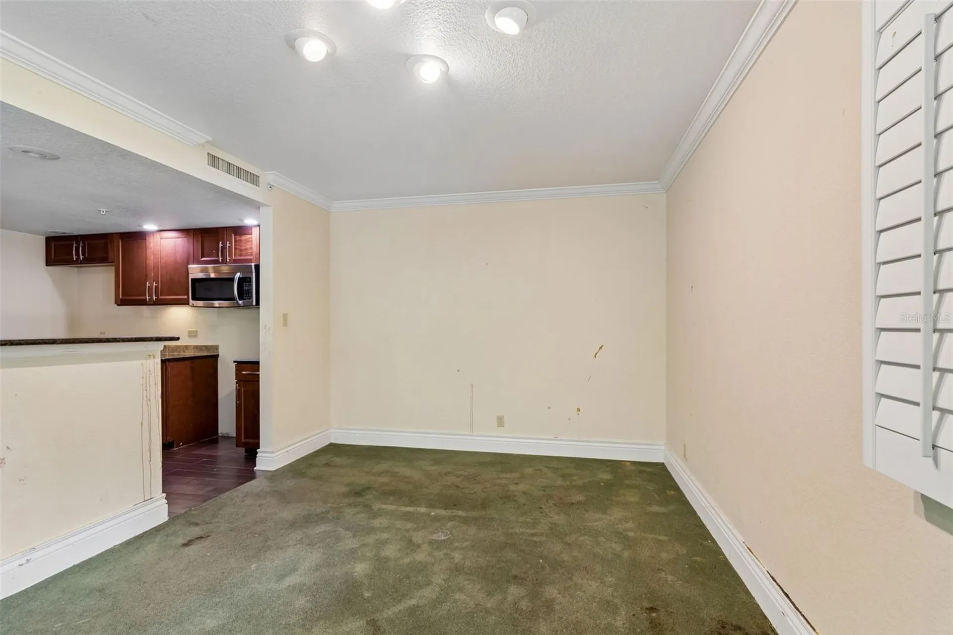36750 Us Highway 19 N Palm Harbor FL 34684