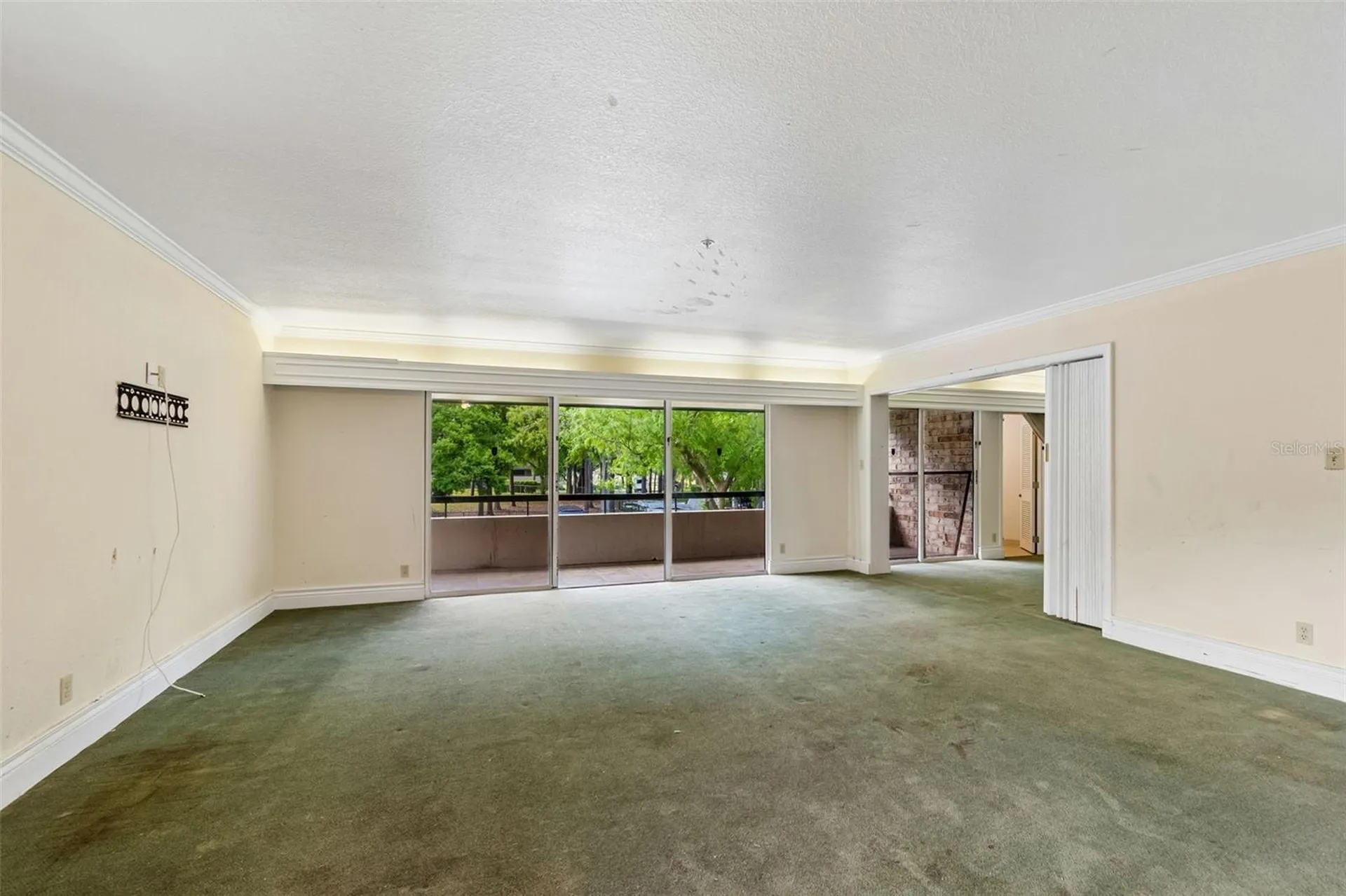 36750 Us Highway 19 N Palm Harbor FL 34684