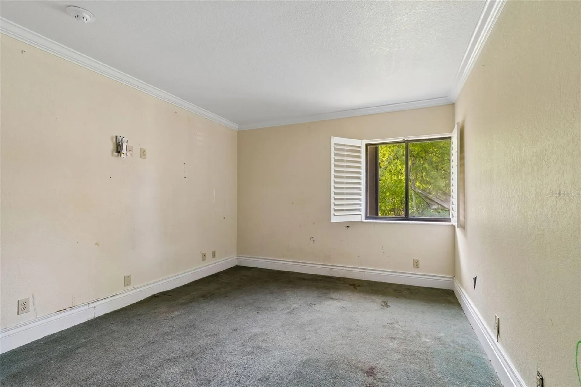 36750 Us Highway 19 N Palm Harbor FL 34684
