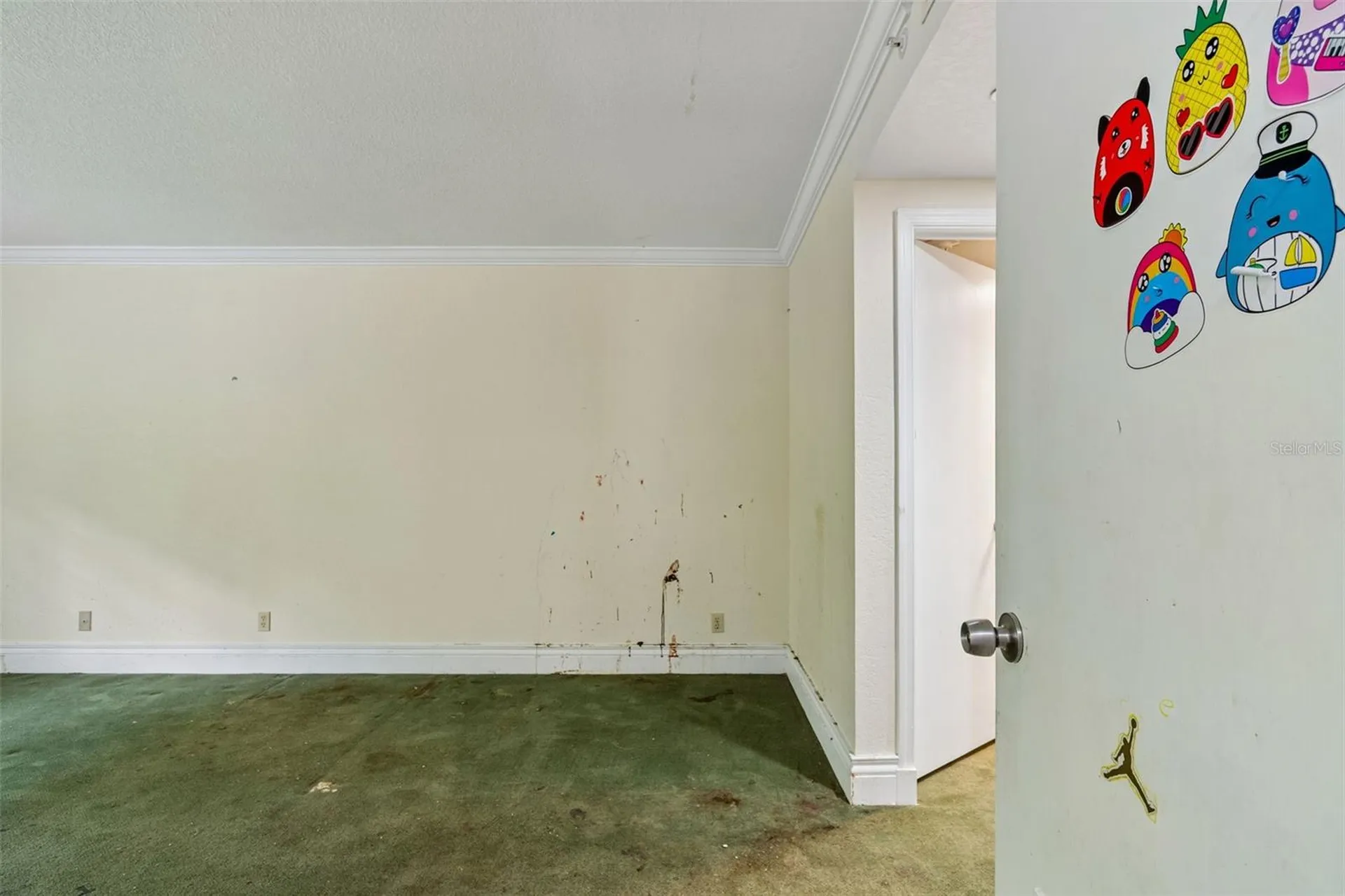 36750 Us Highway 19 N Palm Harbor FL 34684