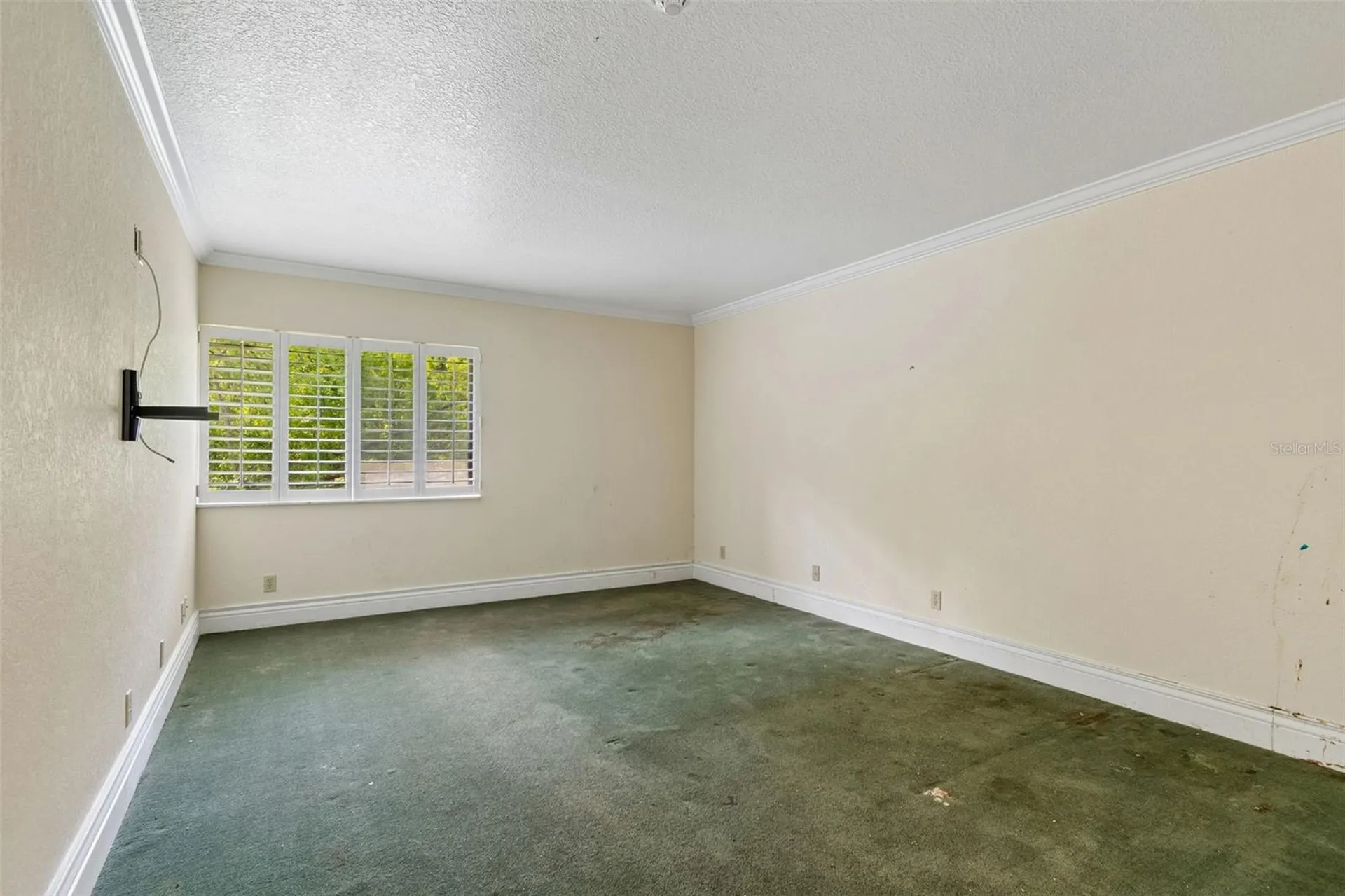 36750 Us Highway 19 N Palm Harbor FL 34684