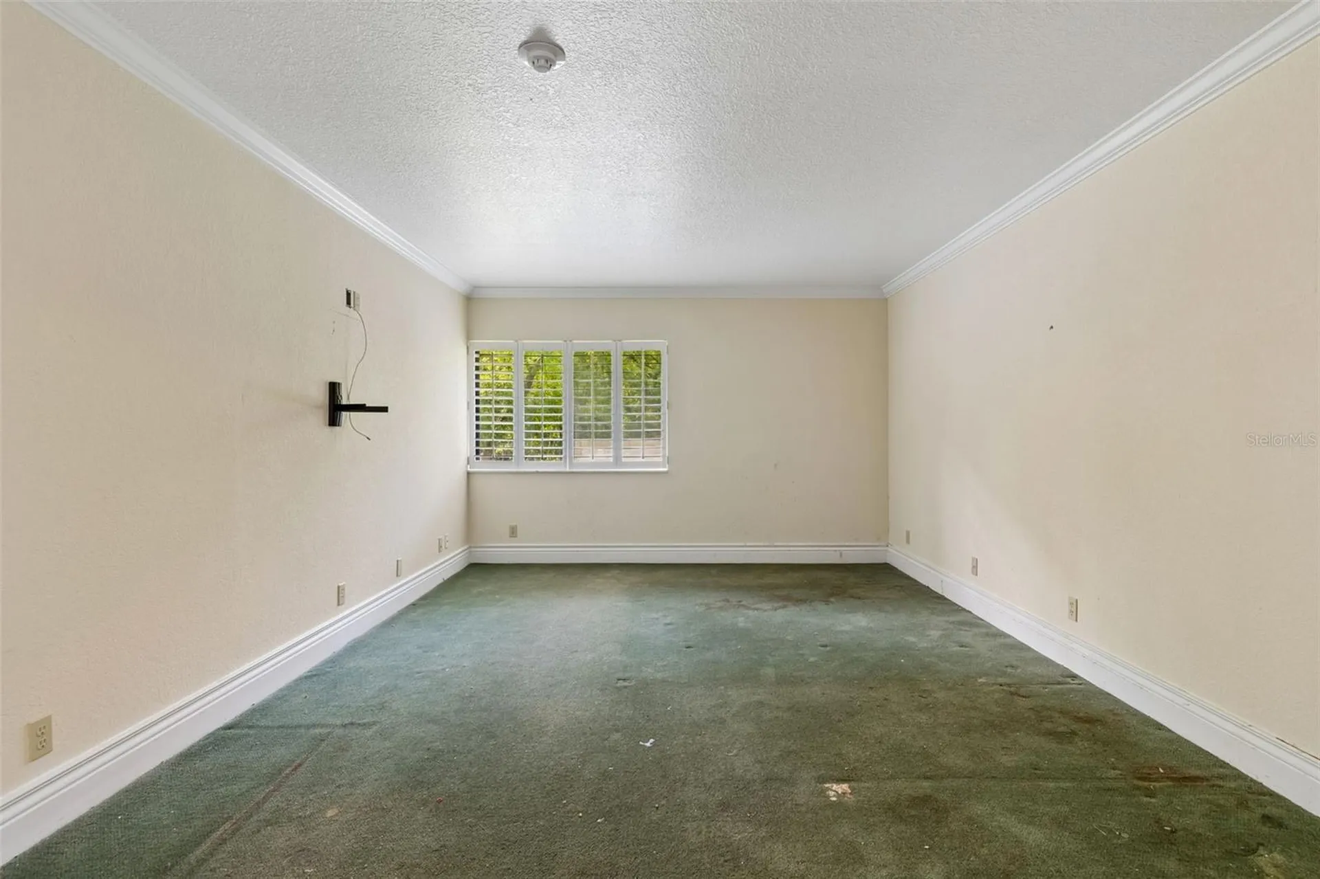36750 Us Highway 19 N Palm Harbor FL 34684