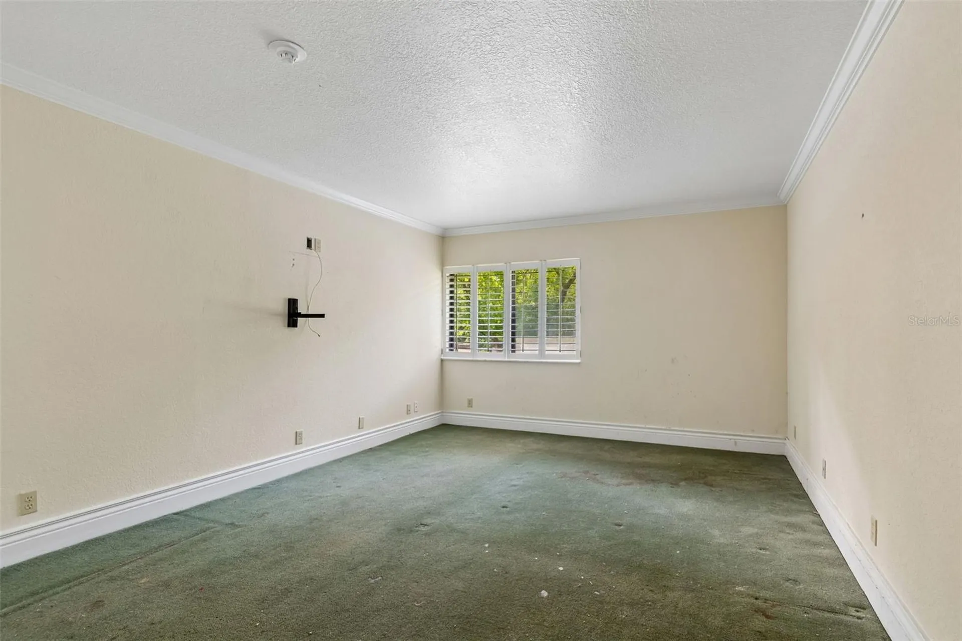 36750 Us Highway 19 N Palm Harbor FL 34684
