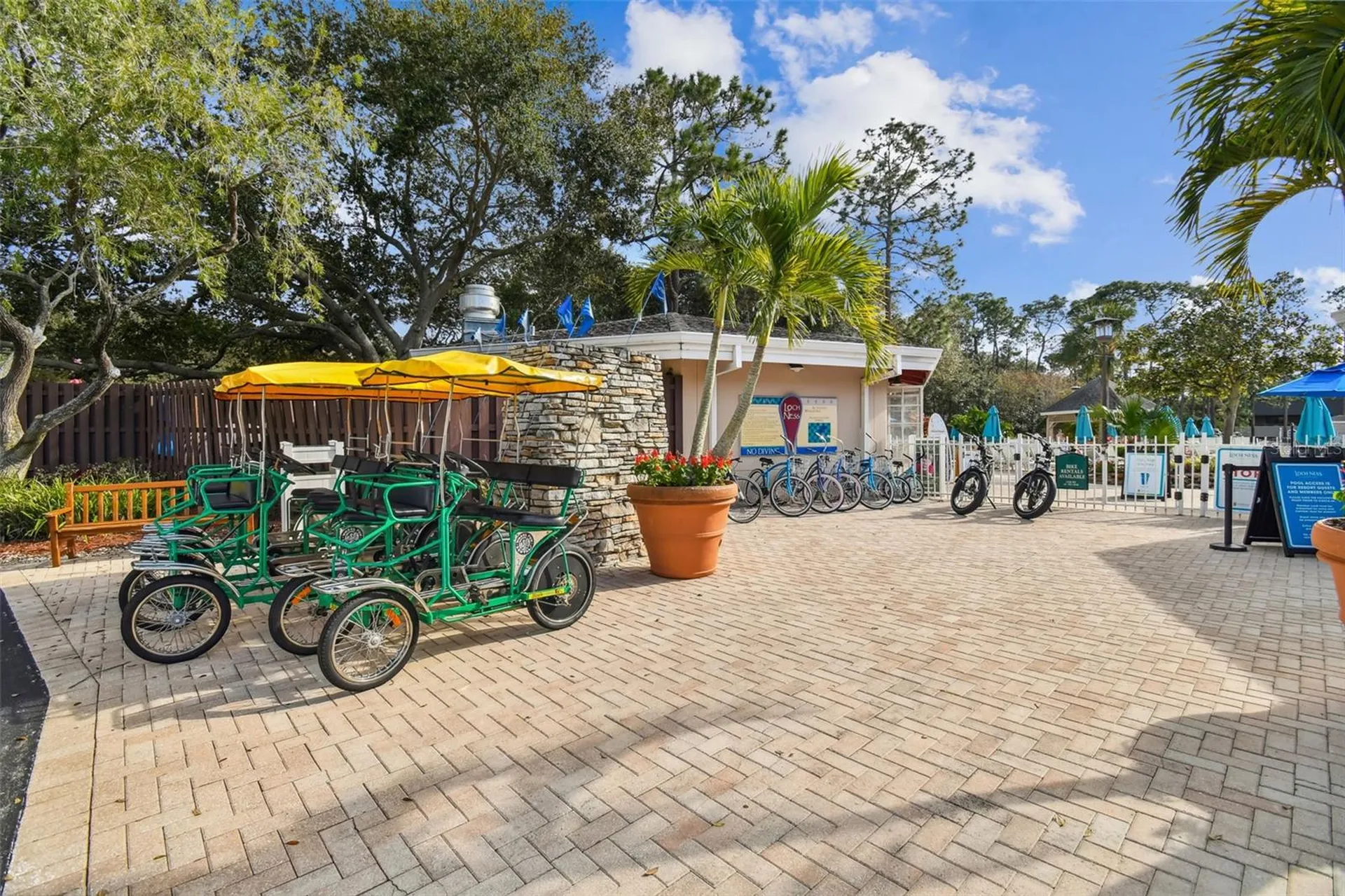 36750 Us Highway 19 N Palm Harbor FL 34684
