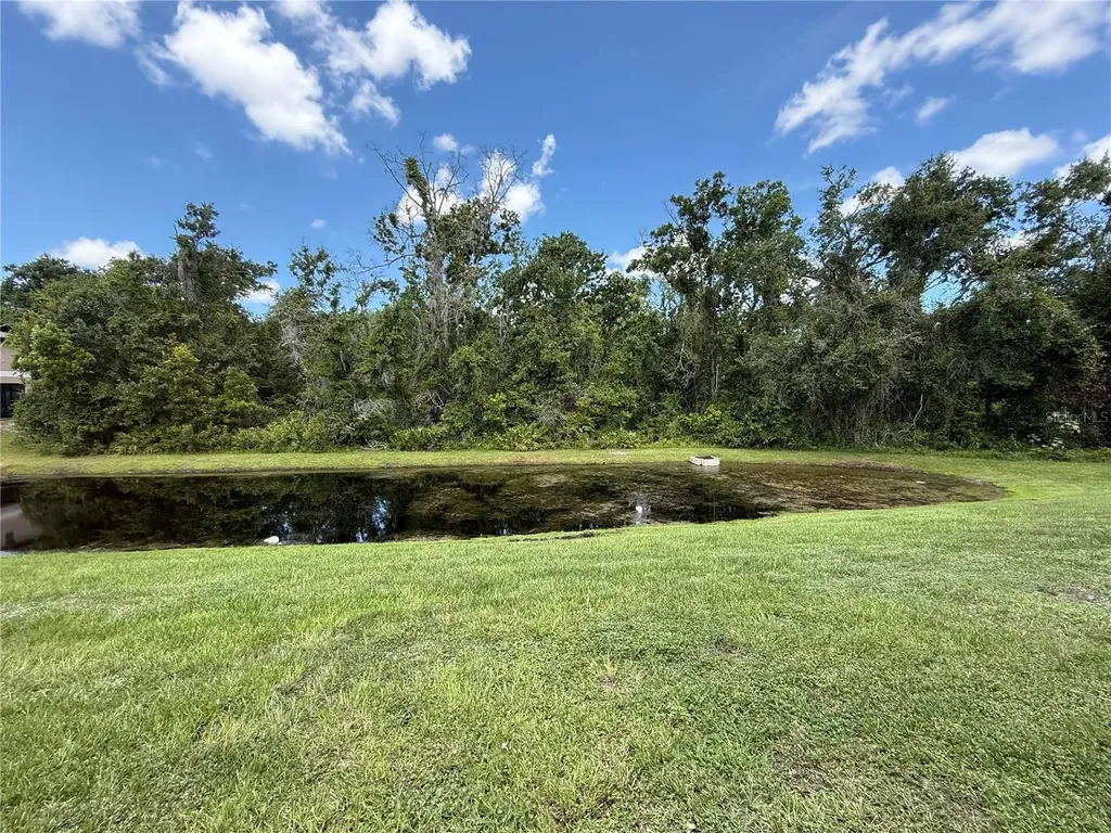 8523 Reedville Street New Port Richey FL 34654