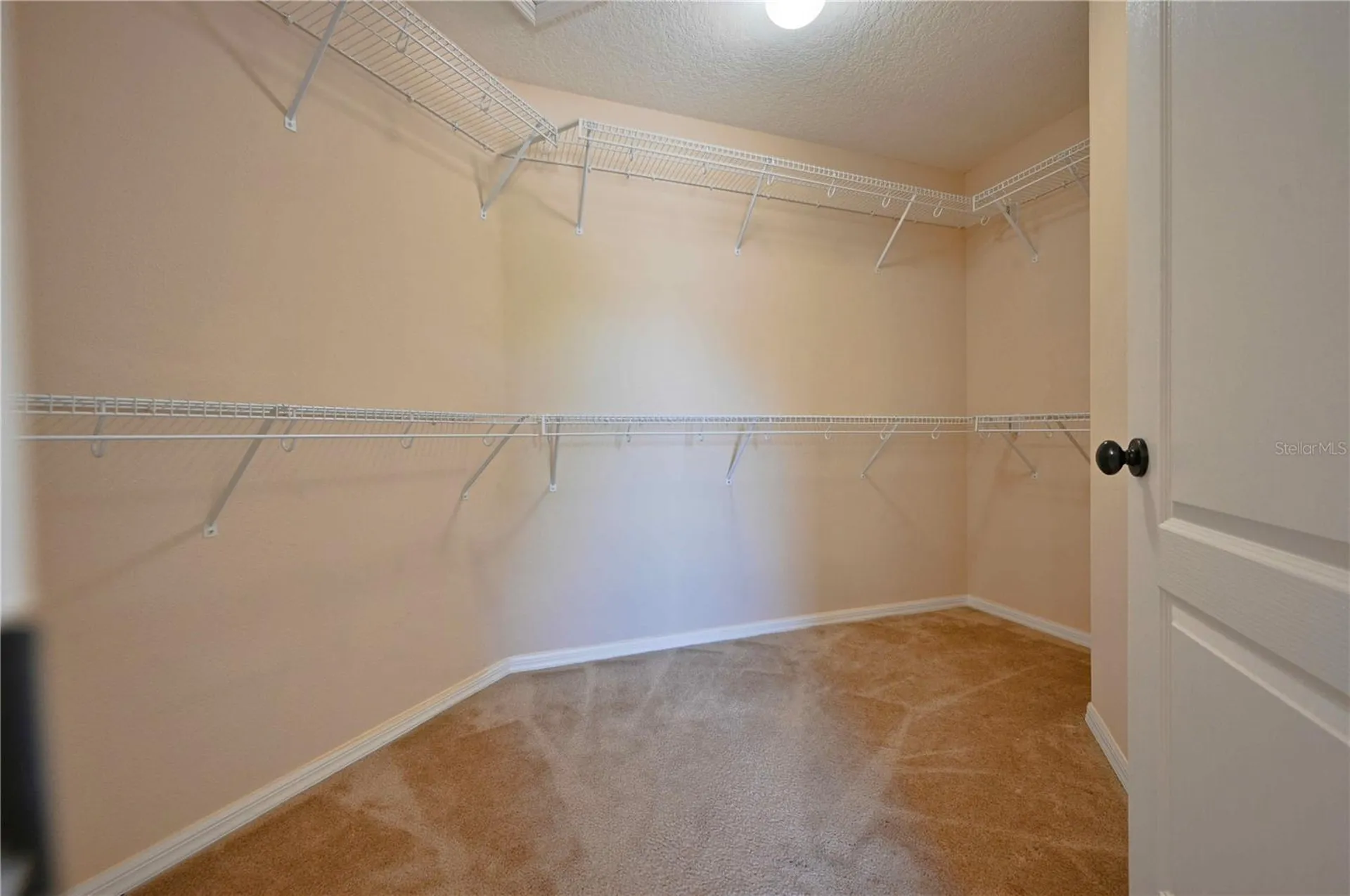 4646 Pointe O Woods Drive Wesley Chapel FL 33543