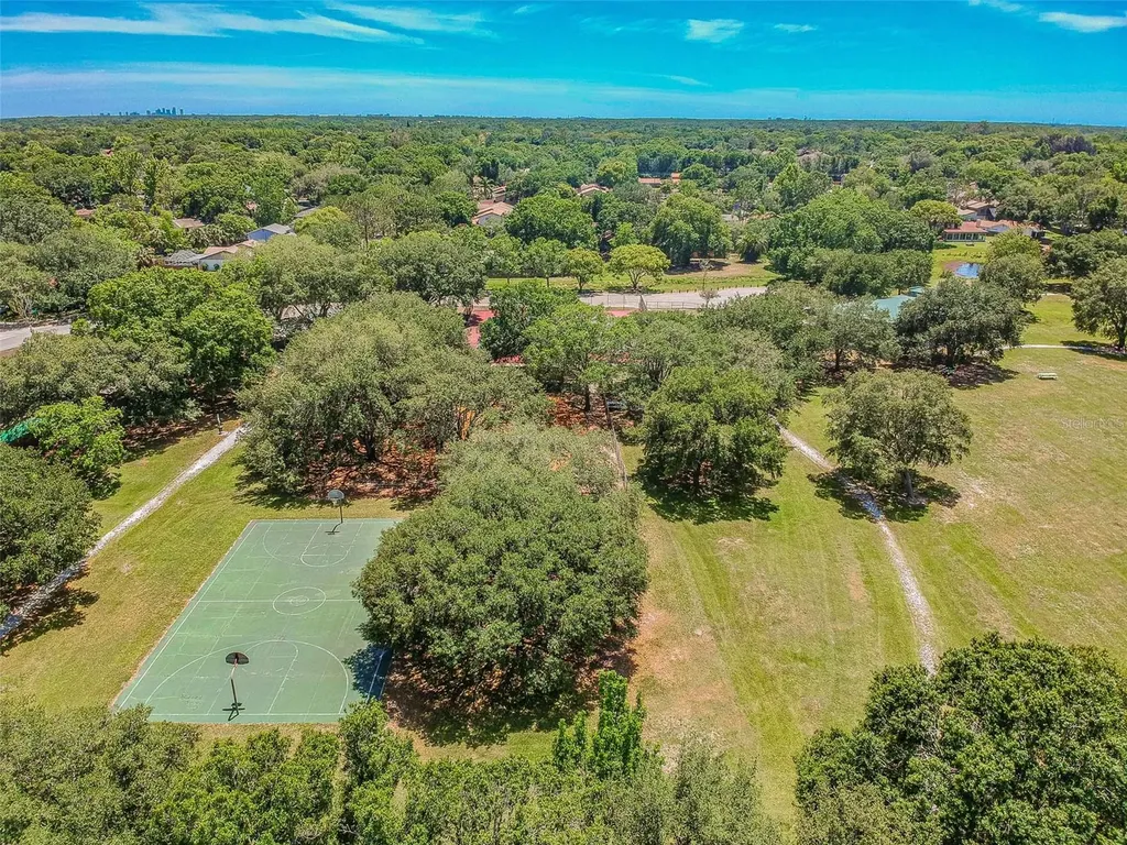 4710 Southbreeze Drive Tampa FL 33624