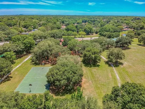 4710 Southbreeze Drive Tampa FL 33624