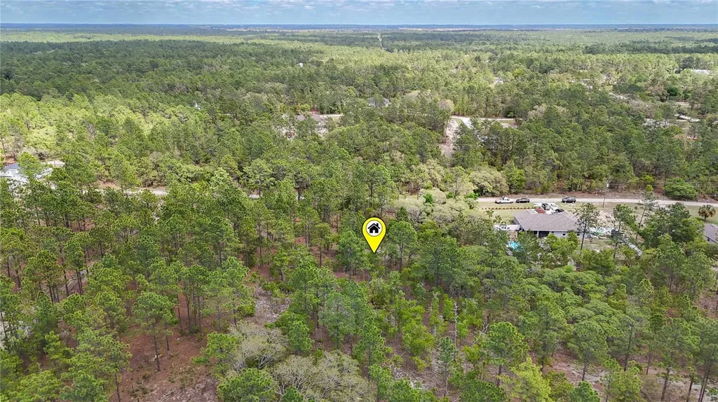 Tbd SW 137th Court Road Dunnellon FL 34432