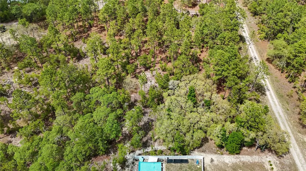 Tbd SW 137th Court Road Dunnellon FL 34432