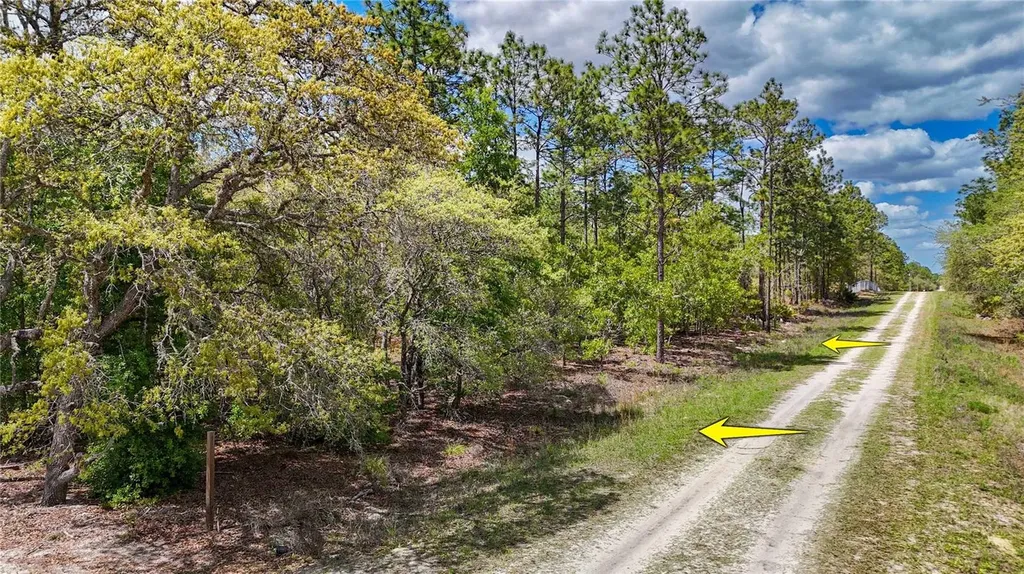 Tbd SW 137th Court Road Dunnellon FL 34432