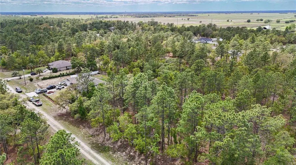 Tbd SW 137th Court Road Dunnellon FL 34432