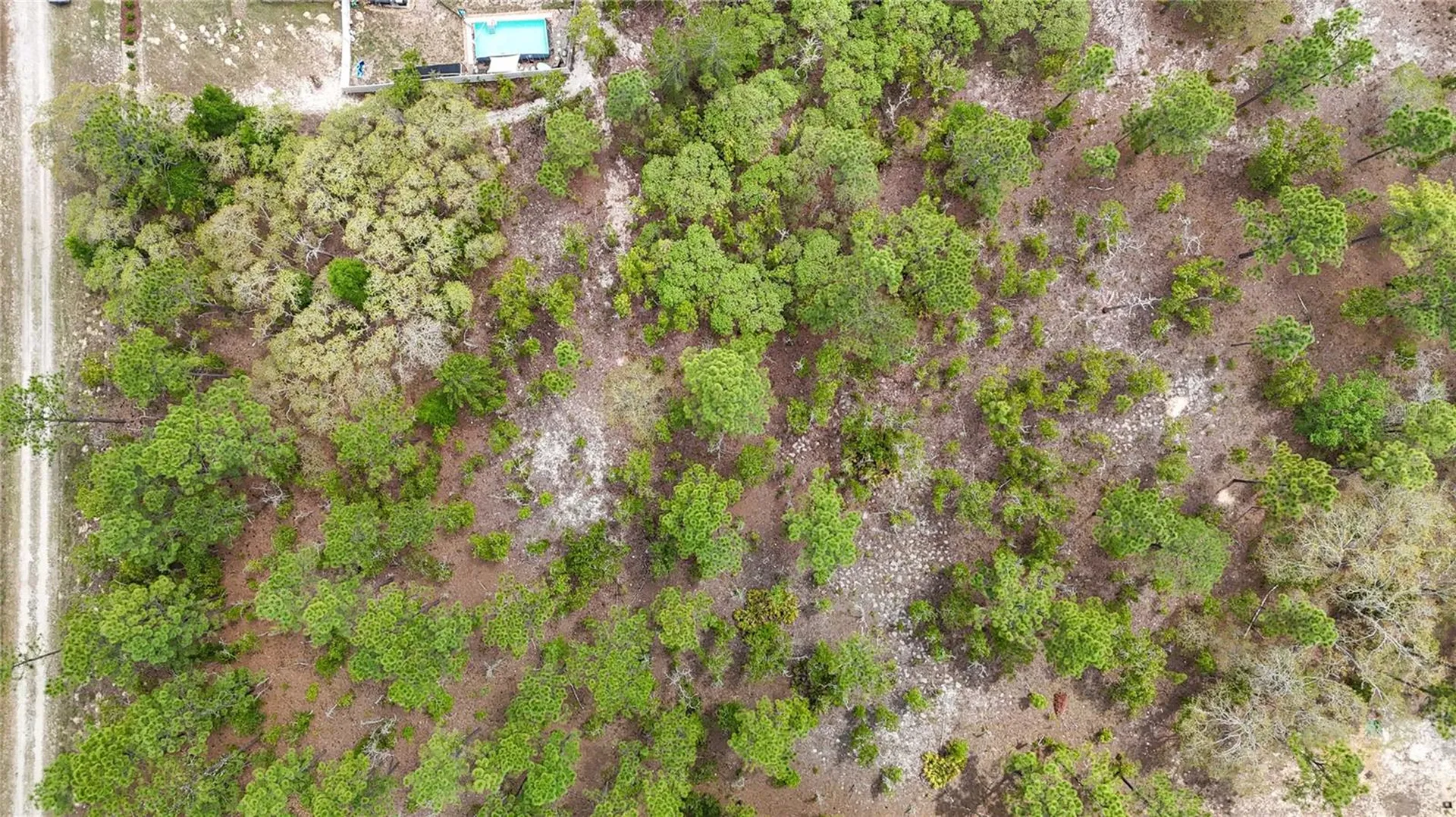 Tbd SW 137th Court Road Dunnellon FL 34432