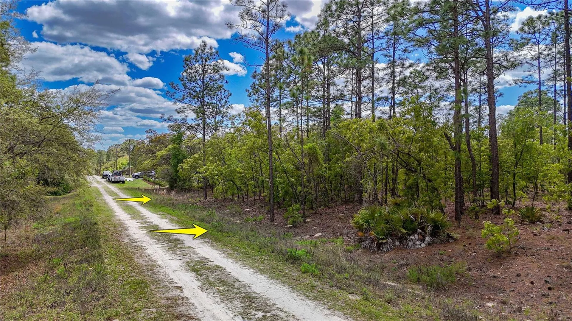 Tbd SW 137th Court Road Dunnellon FL 34432