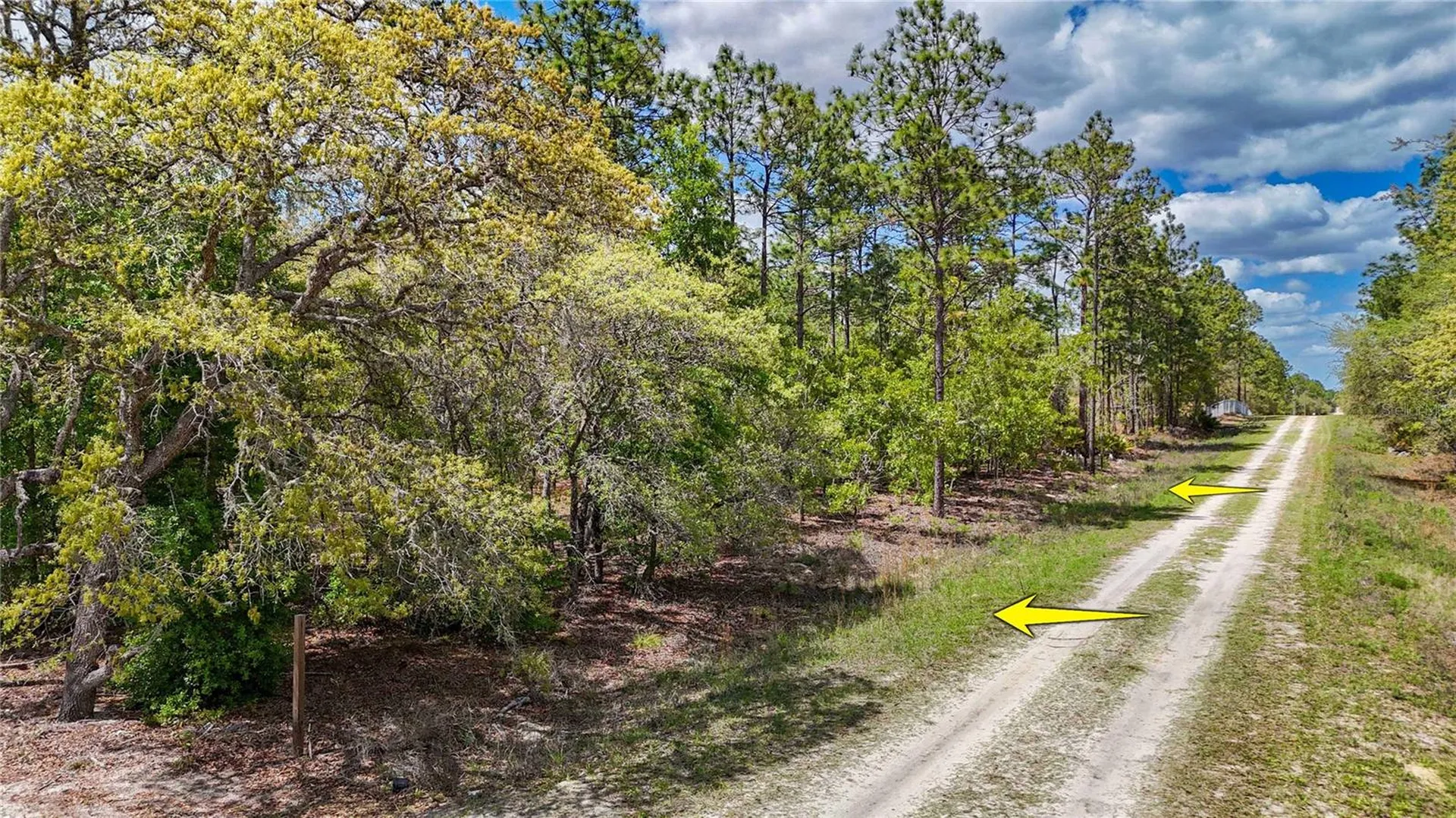 Tbd SW 137th Court Road Dunnellon FL 34432