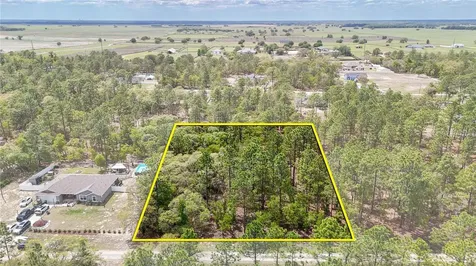 Tbd SW 137th Court Road Dunnellon FL 34432