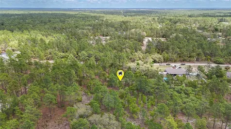 Tbd SW 137th Court Road Dunnellon FL 34432