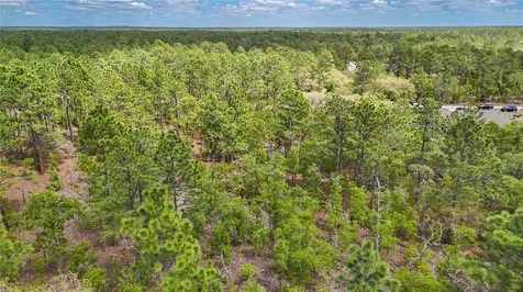 Tbd SW 137th Court Road Dunnellon FL 34432