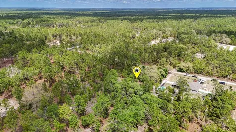 Tbd SW 137th Court Road Dunnellon FL 34432