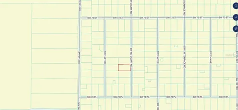 Tbd SW 137th Court Road Dunnellon FL 34432