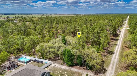 Tbd SW 137th Court Road Dunnellon FL 34432