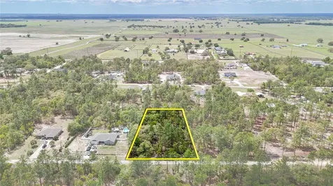 Tbd SW 137th Court Road Dunnellon FL 34432