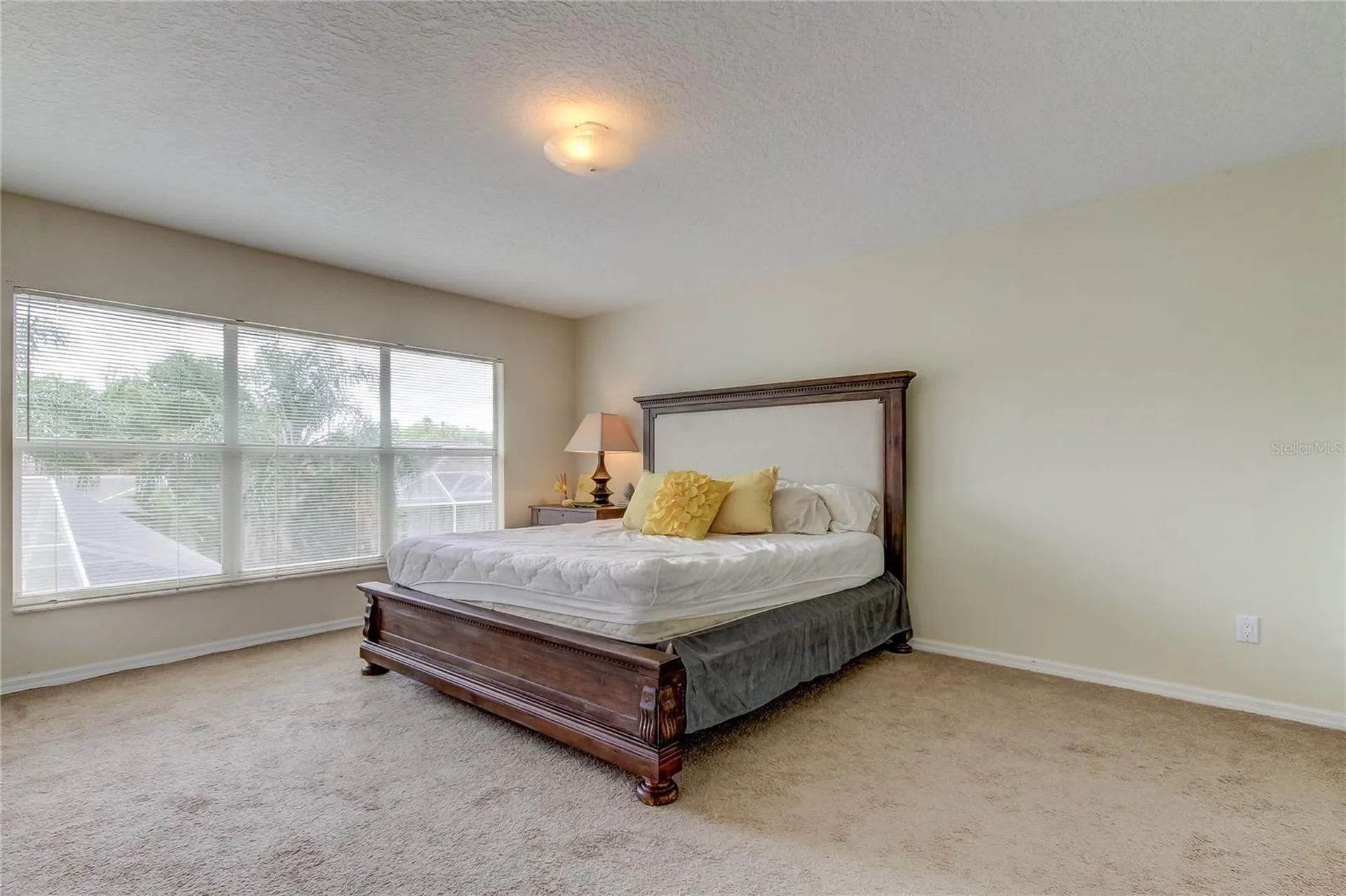 9401 Woodbay Drive Tampa FL 33626