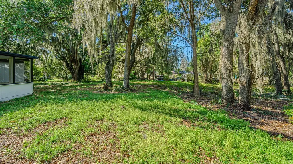 8807 Overlook Drive Wesley Chapel FL 33545