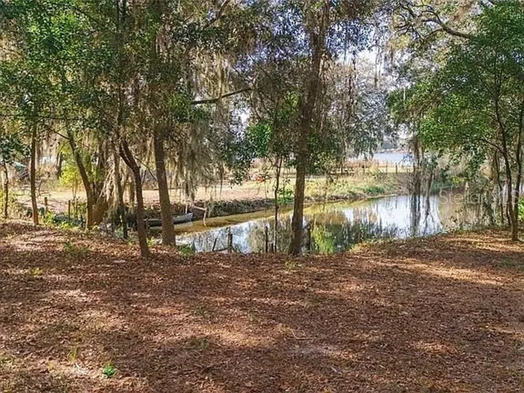 8807 Overlook Drive Wesley Chapel FL 33545