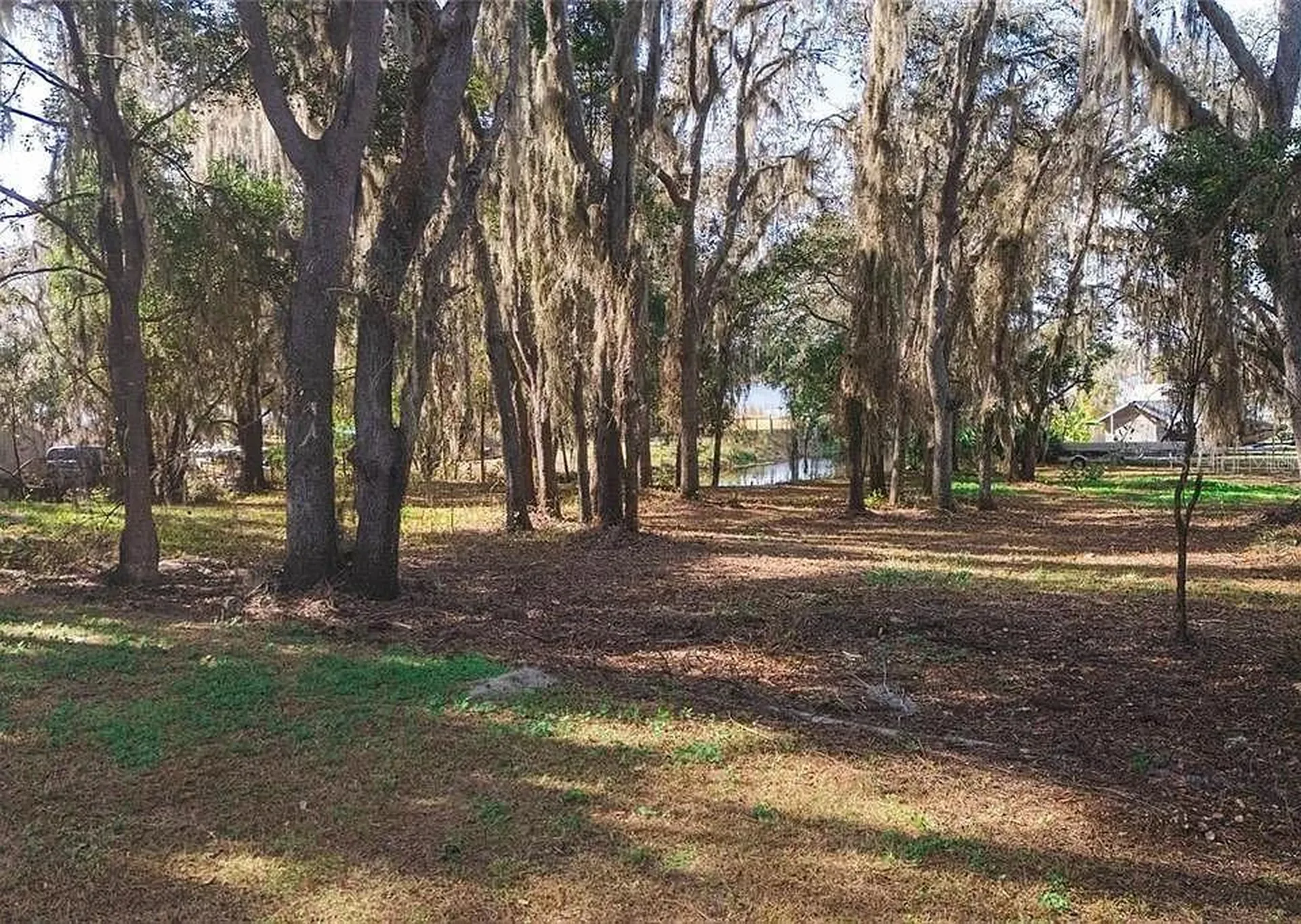 8807 Overlook Drive Wesley Chapel FL 33545