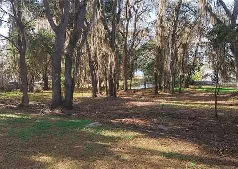 8807 Overlook Drive Wesley Chapel FL 33545