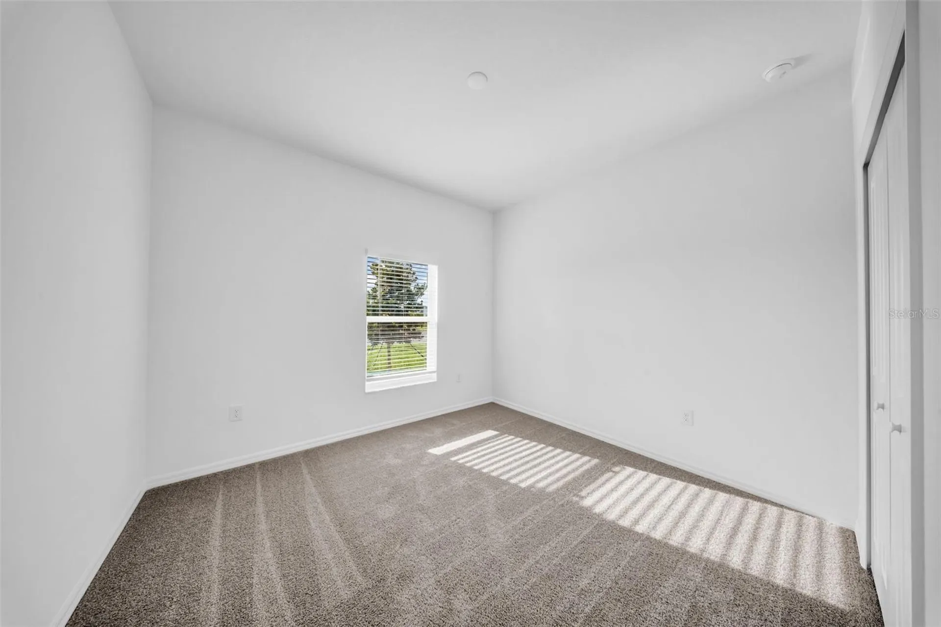 5841 Riverston Avenue Wesley Chapel FL 33545