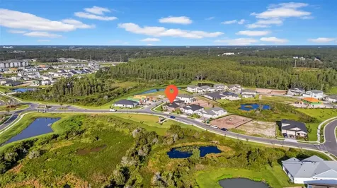 5841 Riverston Avenue Wesley Chapel FL 33545