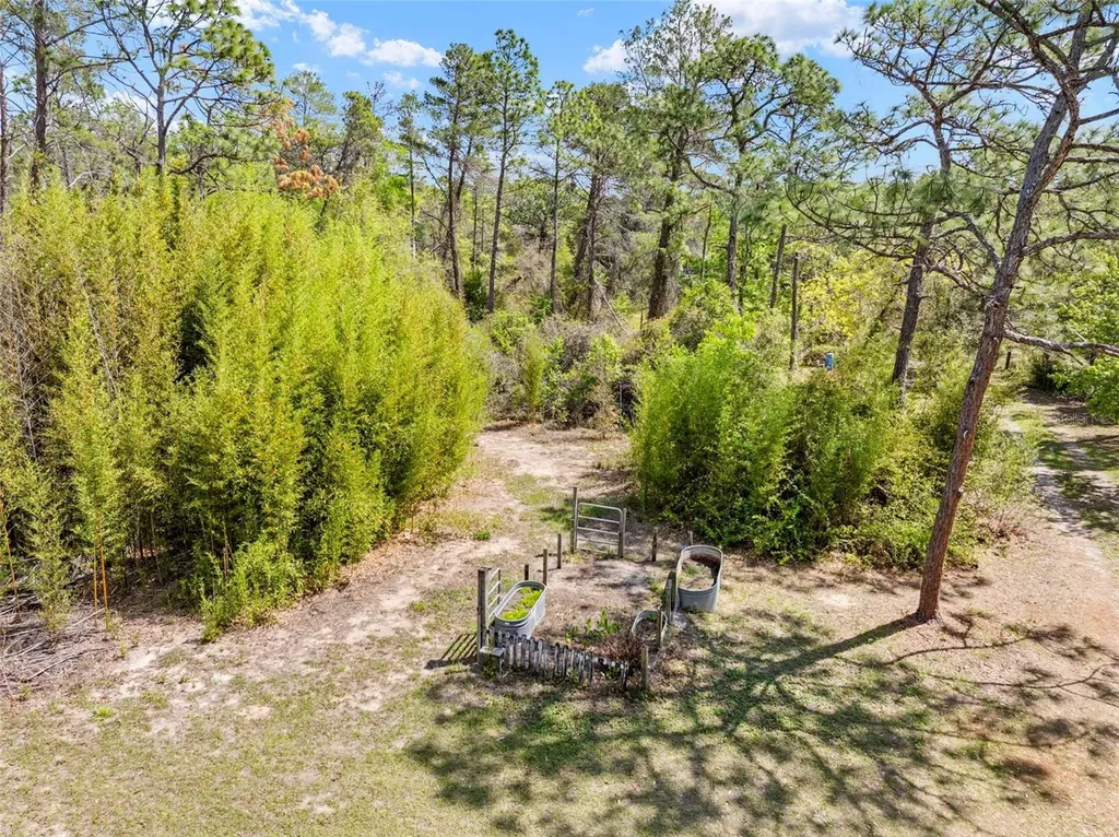 11317 Salina Street Brooksville FL 34614