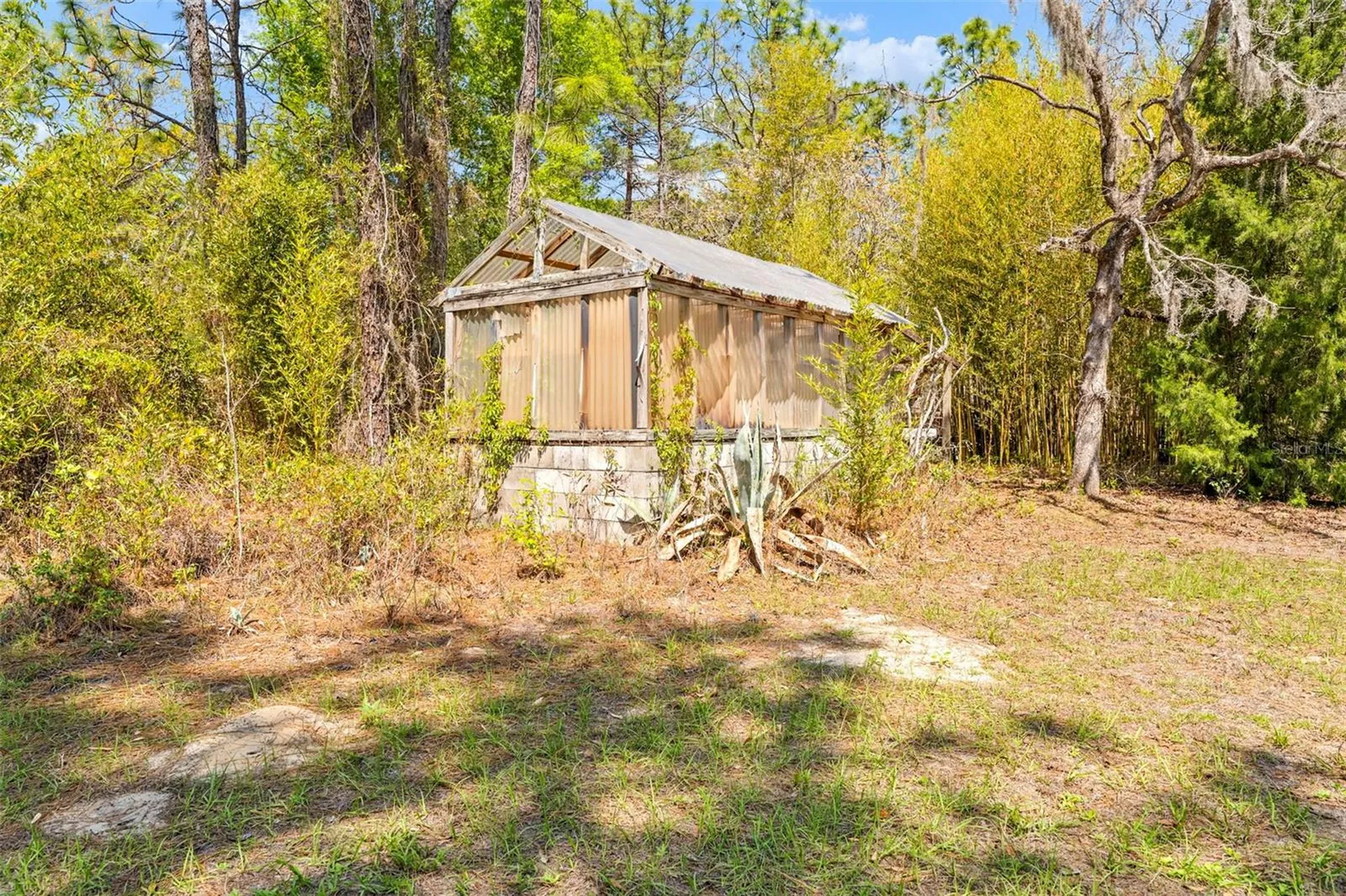 11317 Salina Street Brooksville FL 34614