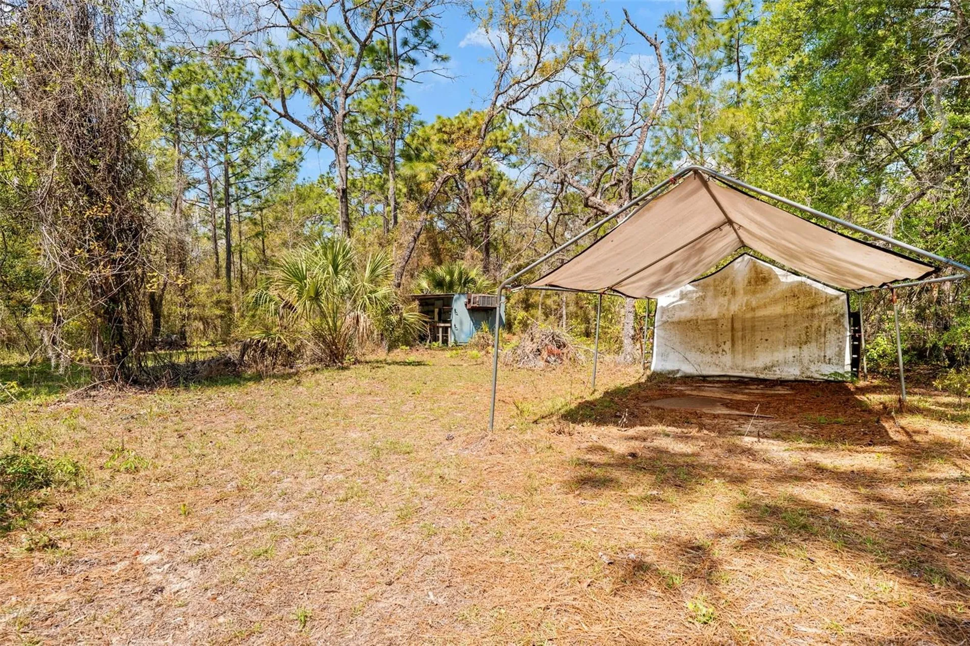 11317 Salina Street Brooksville FL 34614