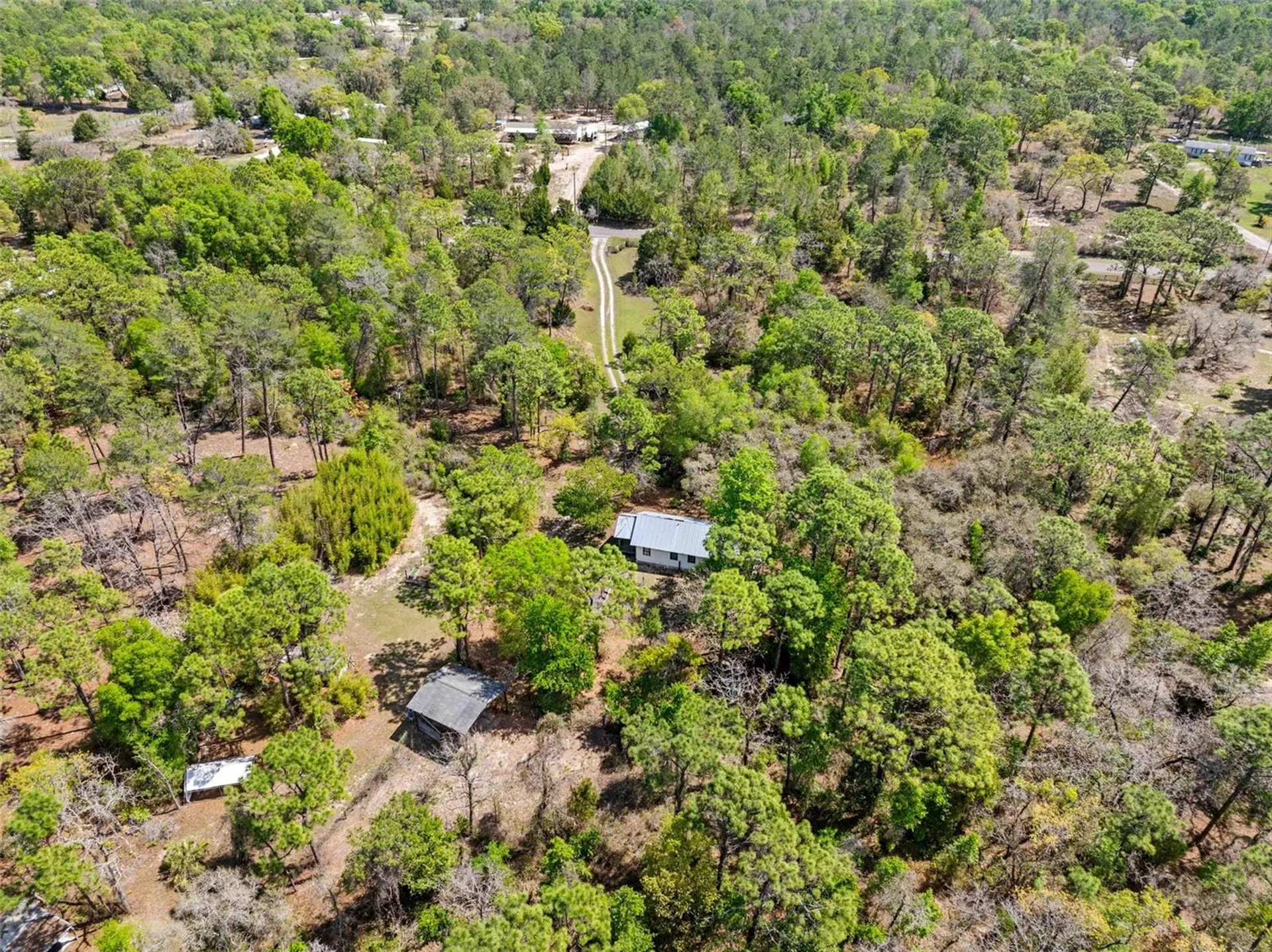 11317 Salina Street Brooksville FL 34614