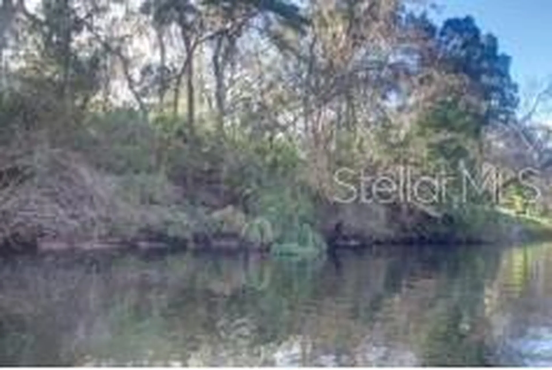 9249-9297 Carr Road Riverview FL 33569