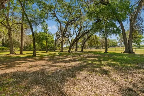 4300 Cr 673 Bushnell FL 33513